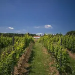 Casa vacanze Xxv House