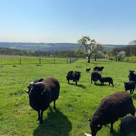 Xxv House - 4 Personnes Tatil Evi