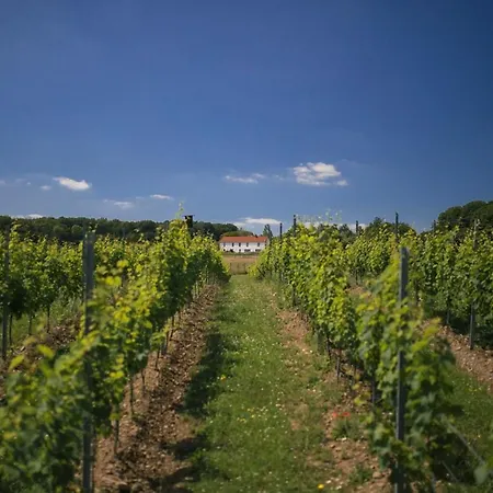 بيت للعطل Xxv House - 4 Personnes