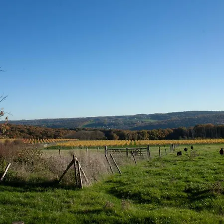 Tatil Evi Xxv House - 4 Personnes *